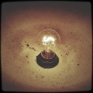 the dusty bulb