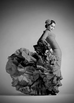 Flamenco Dress and Woman 