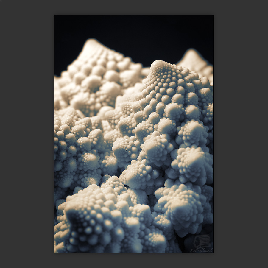 Natural Fractals I