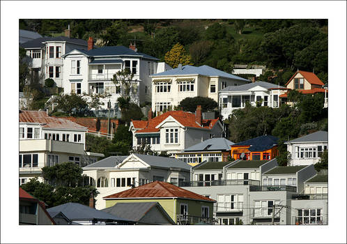 Wellington Colors 4, NZ