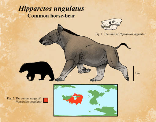 Hipparctos ungulatus