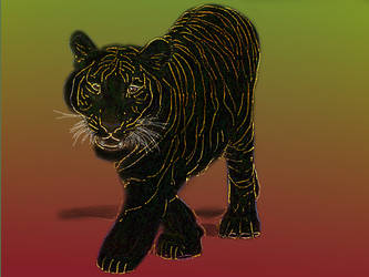 Tiger drawing 02