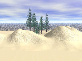 Landscape 1