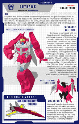 MTMTE - Guyhawk - Profile