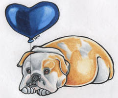 Bulldog and Balloon
