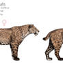 S. fatalis Comparison