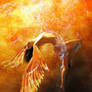 Angel Fire Wings