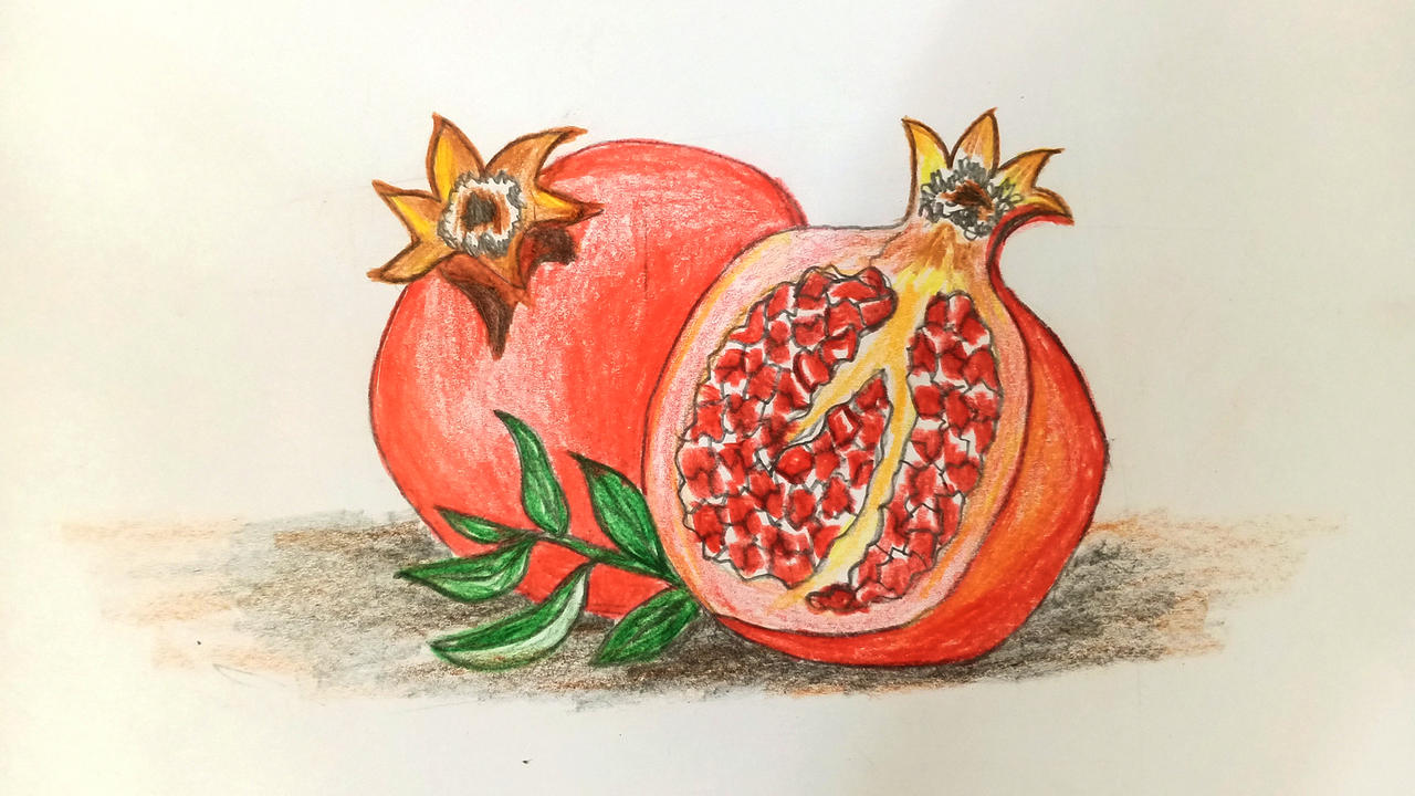 How to draw pomegranate step by step by drawingartificer on DeviantArt