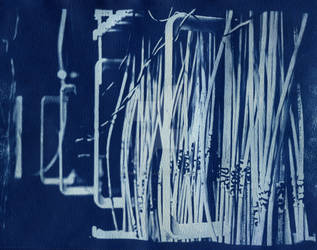 Cyanotype Wires