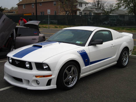 2008 ROUSH 427R Mustang (II)