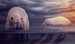Polar Bears by ChiaraLily9