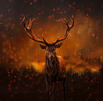 Flaming Stag