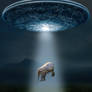 Elephant Abduction