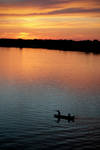 On Danube River by micecat