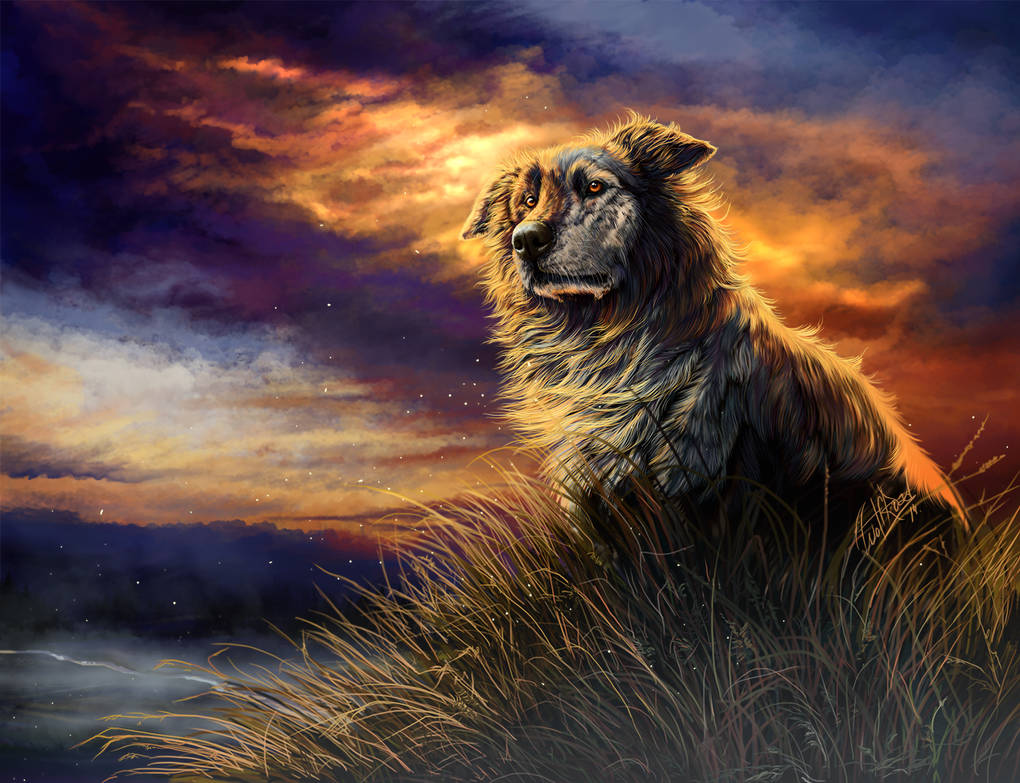 Tranquility by WolfRoad Tranquility by WolfRoad