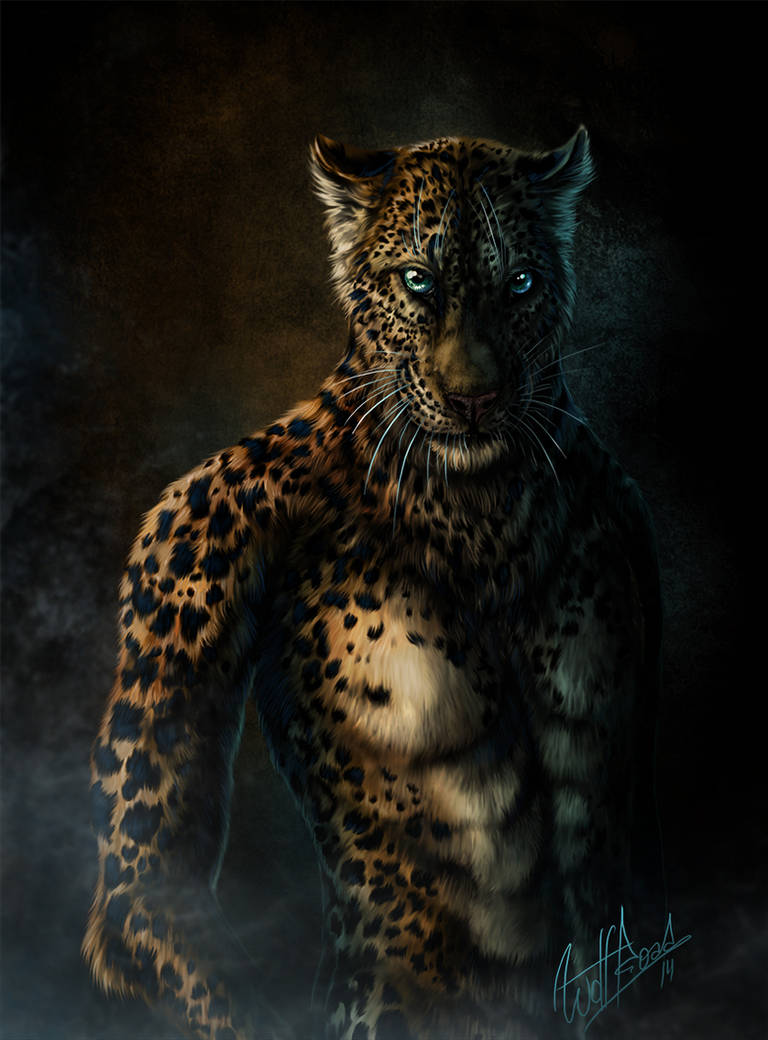 Spots by WolfRoad Spots by WolfRoad