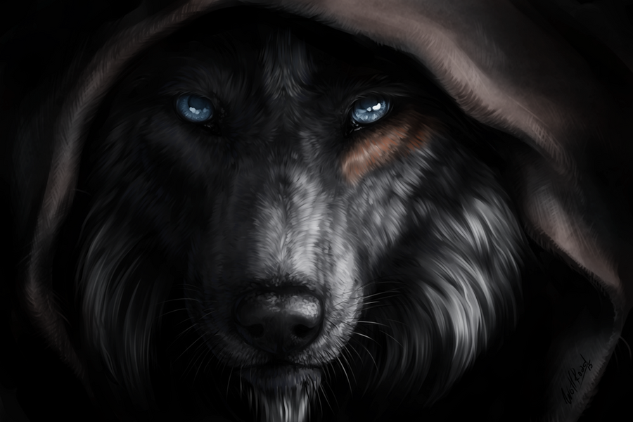Silence must be heard by WolfRoad Silence must be heard by WolfRoad