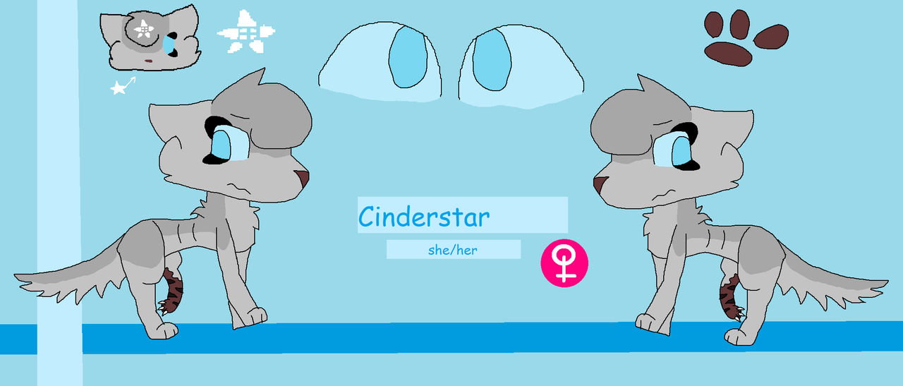 Cinderstar ( Rise of Cinderclan ) by Readytest on DeviantArt
