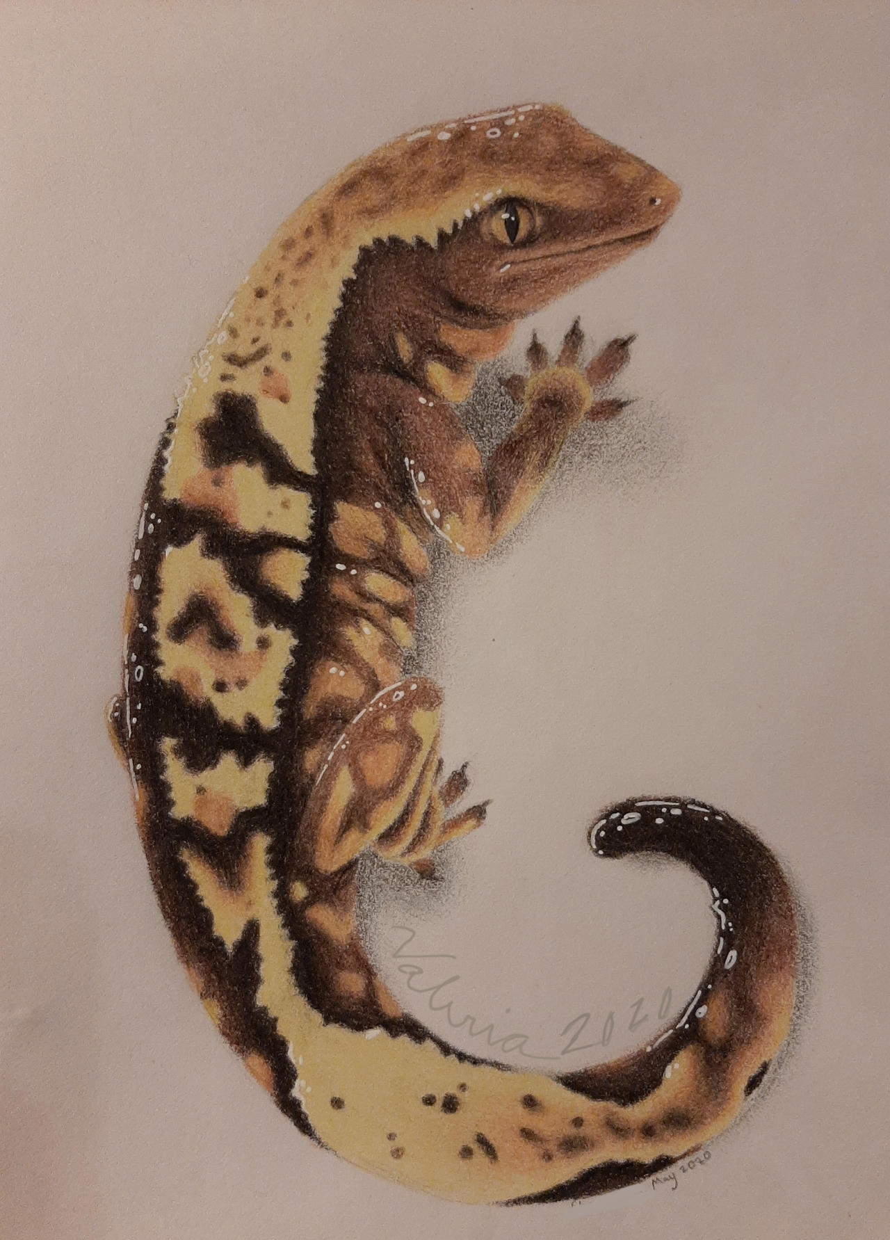 Gecko Deviantart Gecko by Valeria-Bat on DeviantArt