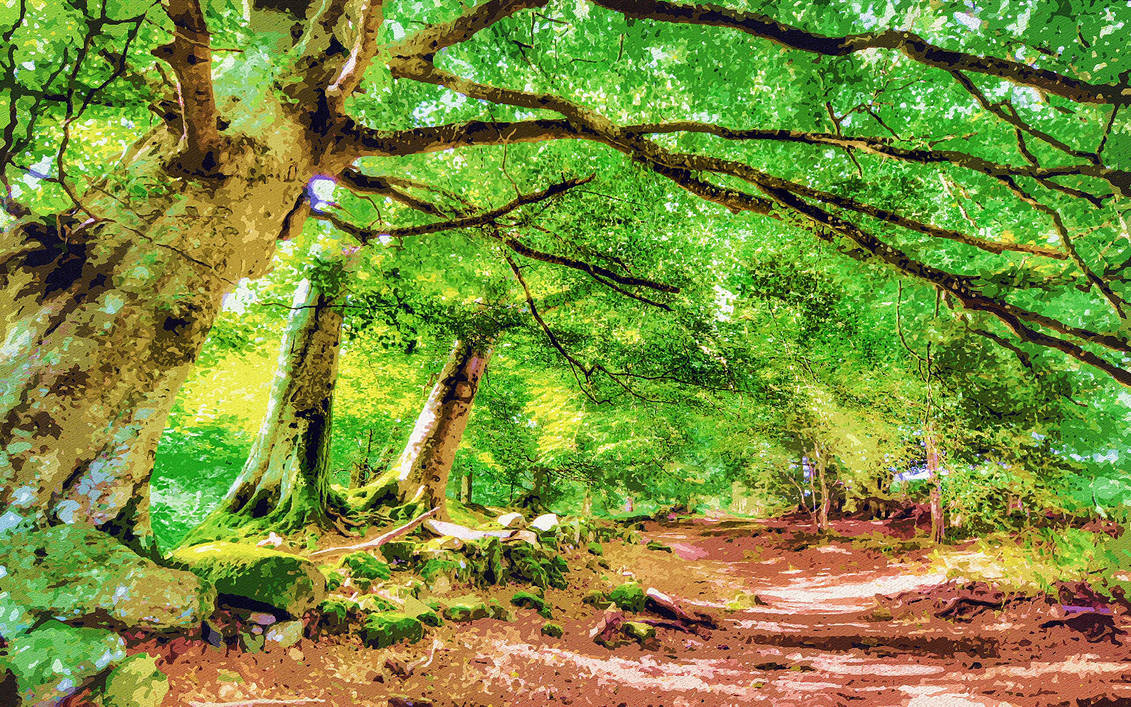The Trees Show The Way by peterpicture on DeviantArt