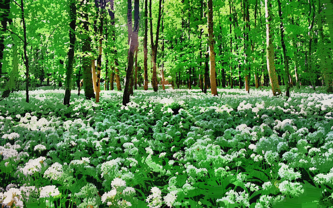 GREEN FIELDS By Peterpicture On DeviantArt