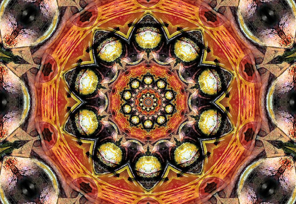 Hymn To The Silence by peterpicture on DeviantArt