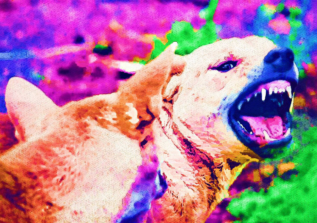 G Rrrrrrr Grrrrrrr by peterpicture on DeviantArt