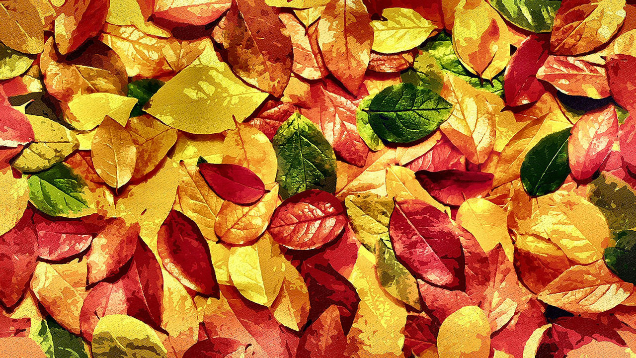 FALL LEGACY by peterpicture on DeviantArt