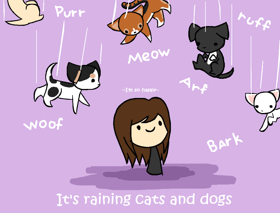 images Raining Cats And Dogs Pictures Funny its raining cats and dogs by iamawsum