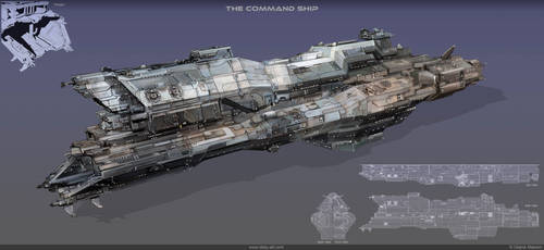 The command ship