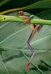 Speed paint - Frog by Obey-art
