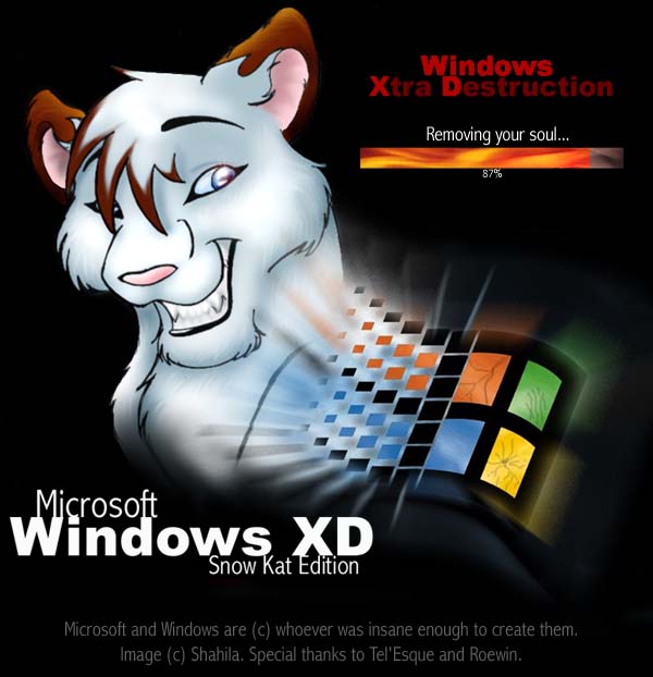 Windows XD, XD