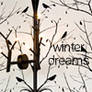 Winter Dreams