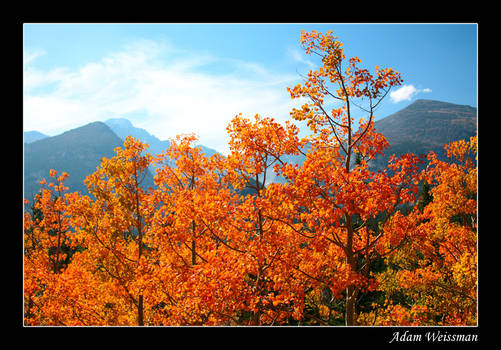 Rocky Mountain High