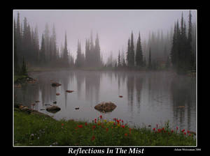Reflections In The Mist