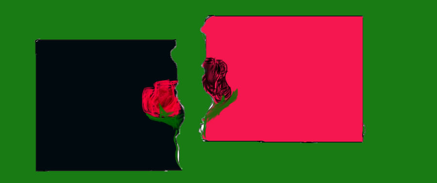 split rose by AngelousDusk on DeviantArt