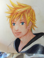 WIP: Roxas