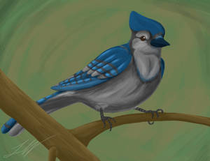 Speed Paint - Bluejay by DarkAdobe