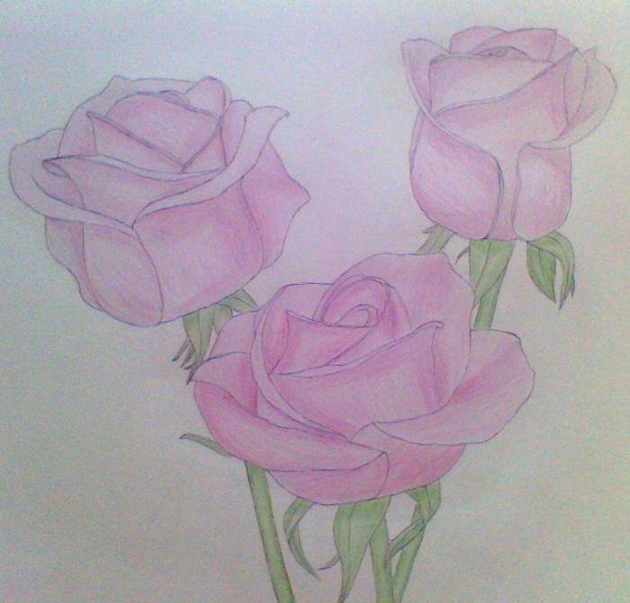 Three Roses Sketh three roses by whatonearth on DeviantArt