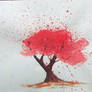 Cherry Tree- water color