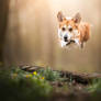 Big jump!