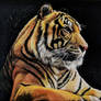 Tiger portrait-oil on canvas