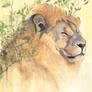 Gouache painting - Lion