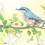 Gouache Painting - Wild Bird
