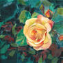 Gouache painting - Rose plant