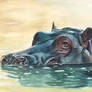 Gouache painting - Hippo