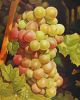 Oil painting - Grapes