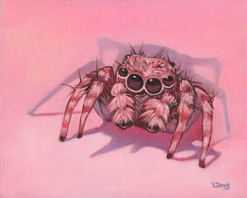 Oil painting - Jumping Spider