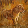 Oil painting - Lion cub