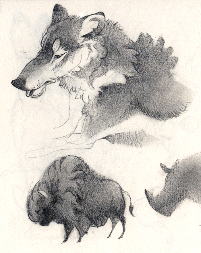 Sketchbook: Wolf and Bison